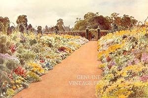 THE DOUBLE BORDERS IN THE EAST GARDEN of SANDRINGHAM,1912 Colour Bookplate Print With Tissue