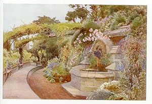 THE TIME OF ROSES FOUNTAIN TERRACE, NORMAN TOWER GARDEN by CYRIL WARD, 1912 COLOUR VINTAGE BOTANI...