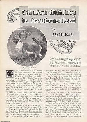 Image du vendeur pour Caribou Hunting in Newfoundland. 1911. This is an original article from the Wide World Magazine. mis en vente par Cosmo Books