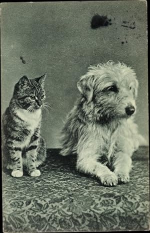 Ansichtskarte / Postkarte Getigerte Katze und kleiner Hund