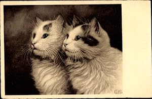 Künstler Ansichtskarte / Postkarte Zwei kleine langhaarige Katzen