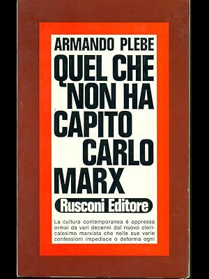 Bild des Verkufers fr Quel che non ha capito Carlo Marx zum Verkauf von Librodifaccia