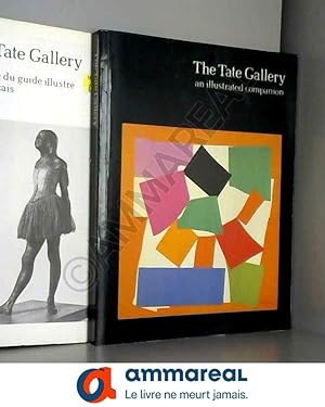 Seller image for The Tate Gallery: An Illustrated Companion to the National Collections of British & Modern Foreign Art for sale by Ammareal