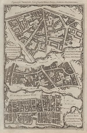 Plan of Aldgate Ward, with its divisions into Precincts & parishes, from a New Survey // Plan of ...