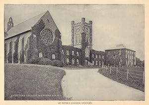 St. Peter's College, Wexford