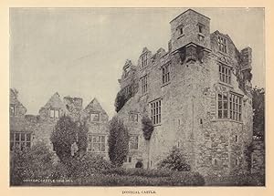 Bild des Verkufers fr Donegal Castle zum Verkauf von Antiqua Print Gallery