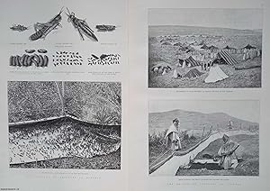 Seller image for The Plague of Crickets in Algeria. Four original woodcut engravings, with accompanying text from the Illustrated London News, 1889. for sale by Cosmo Books