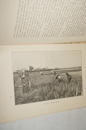 Seller image for IMPRESSIONS DE VOYAGE D'UN AGRICULTEUR A TRAVERS LE MONDE : BRESIL, URUGUAY, ARGENTINE, CHILI, PEROU, ANTILLES, MEXIQUE, CEYLAN, SIAM, JAVA, CAMBODGE, INDOCHINE, CHINE, JAPON, ETATS UNIS for sale by Librairie RAIMOND