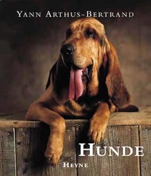 Seller image for Hunde for sale by Gerald Wollermann