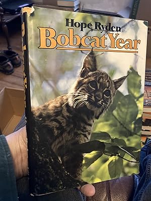 Seller image for Bobcat Year for sale by A.C. Daniel's Collectable Books