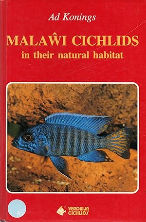 Malawi Cichlids in Their Natural Habitat