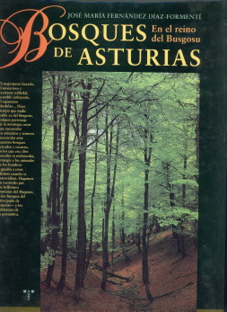 Bosques de Asturias en el reino del Busgosu