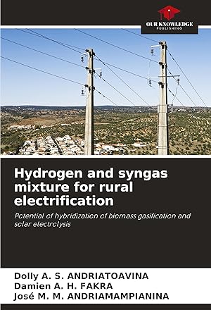Imagen del vendedor de Hydrogen and syngas mixture for rural electrification a la venta por moluna