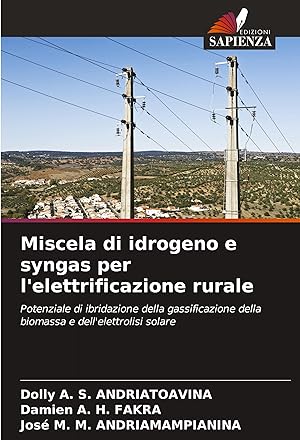 Bild des Verkufers fr Miscela di idrogeno e syngas per l\ elettrificazione rurale zum Verkauf von moluna