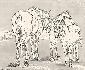 Image du vendeur pour On the Common (Horse, Donkey, and Mule) mis en vente par Antiqua Print Gallery