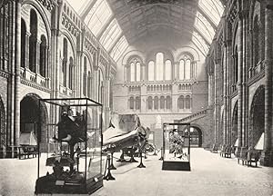 Immagine del venditore per Natural History Museum. - The Entrance Hall venduto da Antiqua Print Gallery