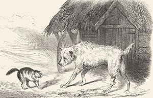 Image du vendeur pour An Impending Quarrel (Dog and Cat) mis en vente par Antiqua Print Gallery