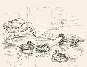 Immagine del venditore per The Duck Pond venduto da Antiqua Print Gallery