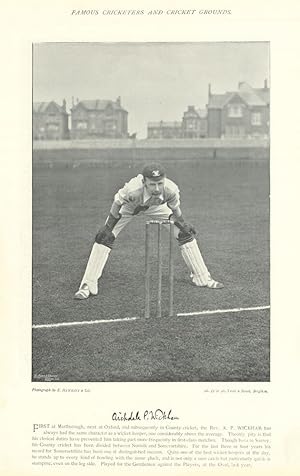[Archdale Palmer Wickham. Wicket-keeper. Somerset cricketer] First at Marlborough, next at Oxford...