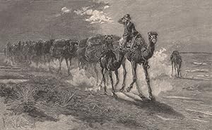 Bild des Verkufers fr Camels carrying wool zum Verkauf von Antiqua Print Gallery