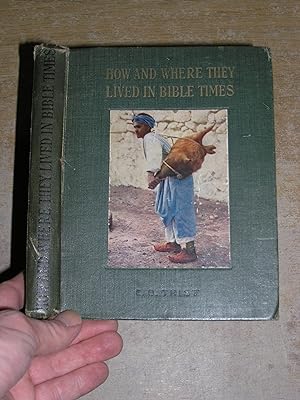Imagen del vendedor de How And Where They Lived In Bible Times a la venta por Neo Books