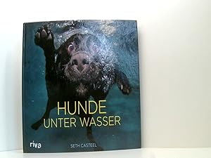 Imagen del vendedor de Hunde unter Wasser a la venta por Book Broker