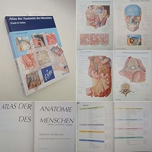 Bild des Verkufers fr Atlas der Anatomie des Menschen. Zweite, verbesserte Ausgabe zum Verkauf von Galerie fr gegenstndliche Kunst