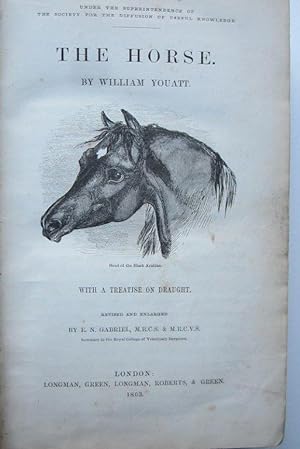 Bild des Verkufers fr The Horse zum Verkauf von K Books Ltd ABA ILAB