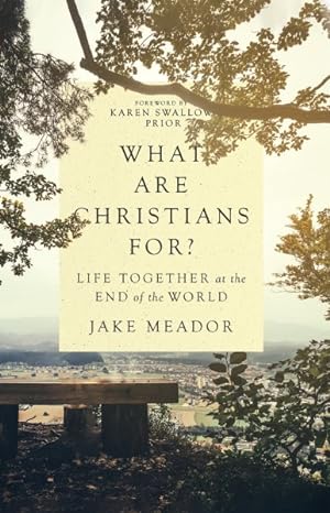 Imagen del vendedor de What Are Christians For? : Life Together at the End of the World a la venta por GreatBookPrices