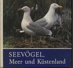 Seller image for Seevgel, Meer und Kstenland Fr junge Natur- und Tierfreunde for sale by Leipziger Antiquariat