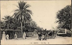 Bild des Verkufers fr Ansichtskarte / Postkarte Oase Biskra Algerien, Une Rue zum Verkauf von akpool GmbH