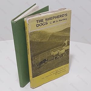 The Shepherd's Dogs : A Practical Book on Their Training and Management