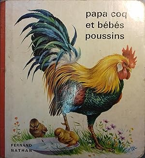 Papa coq et bébés poussins. Vers 1970.