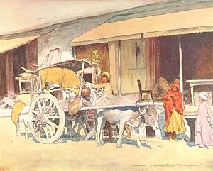 A Bullock-cart, Ajmere