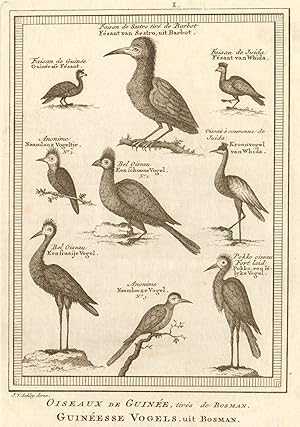 Seller image for Oiseaux de Guine; tirs de Bosman; Faisan de Sestro tir de Barbot; Faisan de Guine; Faisan de Juida; Anonyme; Bel Oiseau; Oiseau  Couronne; Bel Oiseau; Anonyme; Pokko; Oiseau fort laid [Birds of West Africa. Pheasants of Sestro, Ouidah & Guinea] for sale by Antiqua Print Gallery