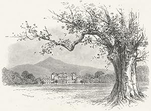 Seller image for Powerscourt House for sale by Antiqua Print Gallery