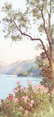 Imagen del vendedor de Lago di Lecco, Lago di Como a la venta por Antiqua Print Gallery
