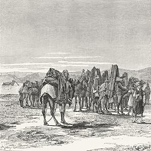 Fig. 75 Caravan on the Banks of the Euphrates