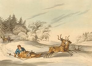 Laplander hunting with Rein-deer