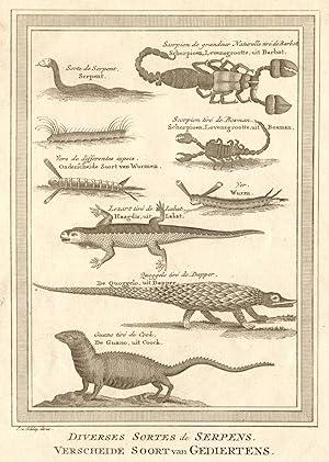 Seller image for Diverses sortes de Serpens [Various kinds of serpents] for sale by Antiqua Print Gallery