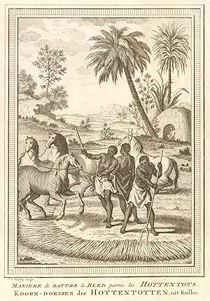 Manière de battre le Bled parmi les Hottentots [Khoikhoi method of threshing corn]