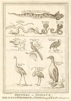 Seller image for Reptiles & Oiseaux [Reptiles & Birds] for sale by Antiqua Print Gallery