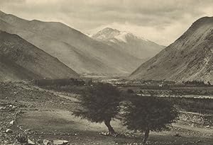 Bild des Verkufers fr Valle del Elqui. Vista desde Rivadavia hacia el Este zum Verkauf von Antiqua Print Gallery