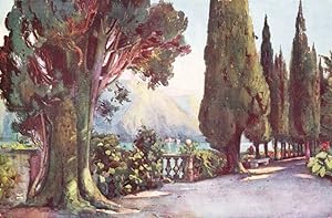 Seller image for Cypress Avenue, Villa del Pizzo, Lago di Como for sale by Antiqua Print Gallery