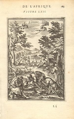 Seller image for Singes - De L'Afrique for sale by Antiqua Print Gallery