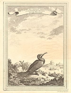 Le l'Ouwa ou loiseau Pescheur, avec la manière de Pêcher; tiré de Nieuhof [The Cormorant or fish...