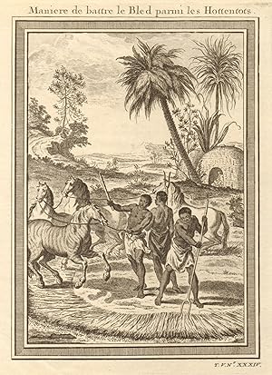 Manière de battre le Bled parmi les Hottentots [Khoikhoi method of threshing corn]