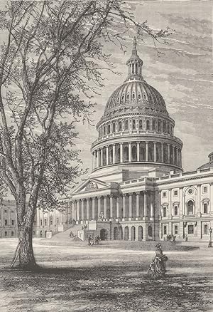 View of the Capitol, Washington