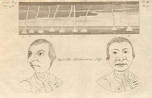 Seller image for The Boatswain's Nose. [Fig 7. Water Spouts, Fig 8. A man's face in front and in profile, a caricature, called ''The Boatswain's nose''] for sale by Antiqua Print Gallery