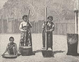 Natives of Madagascar pounding rice